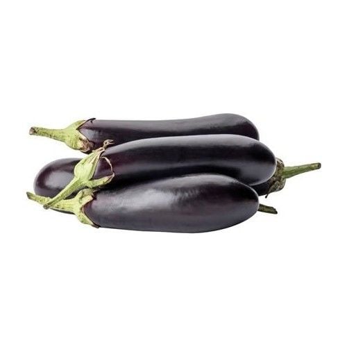 PATLICAN