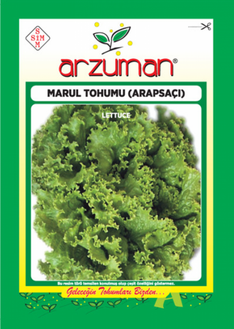 ARAPSAÇI KIVIRCIK MARUL TOHUMU 10 GR ORT 7500 AD TOHUM