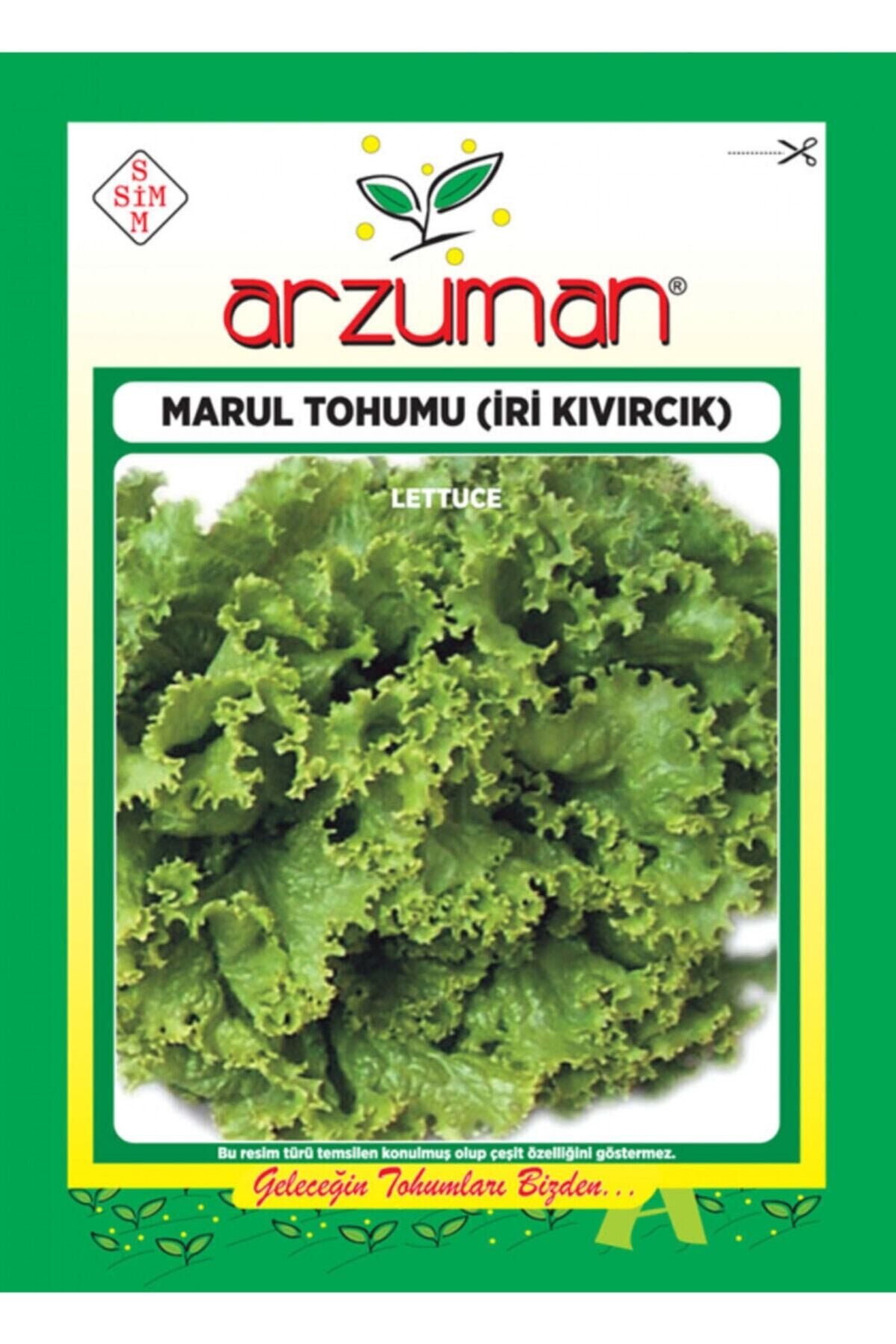 Karahasanoğlu Tarım Iri Kıvırcık Marul Tohumu 10 Gr Ort 7500 Ad Tohum