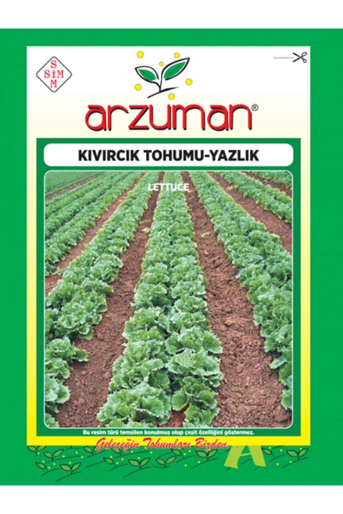 Karahasanoğlu Tarım Yazlık Kıvırcık Marul Tohumu 10 Gr Ort 7500 Ad Tohum