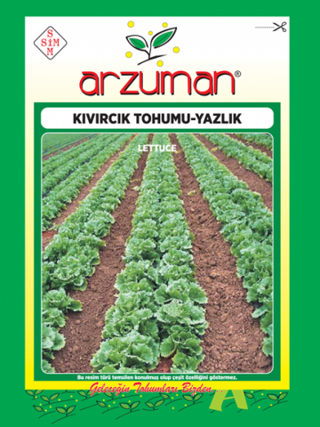YAZLIK KIVIRCIK MARUL TOHUMU 10 GR ORT 7500 AD TOHUM