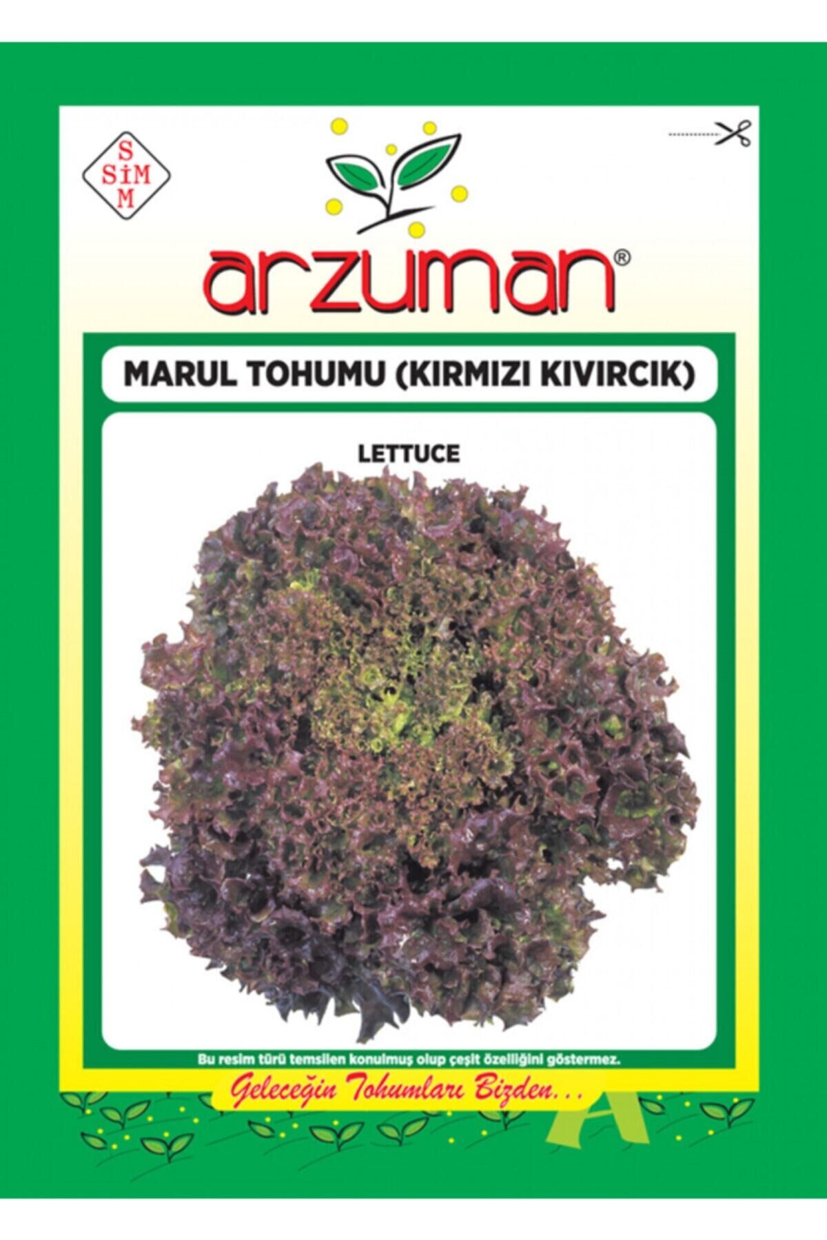 Karahasanoğlu Tarım Kırmızı Kıvırcık Marul Tohumu 5 Gr Ort 3750 Ad Tohum