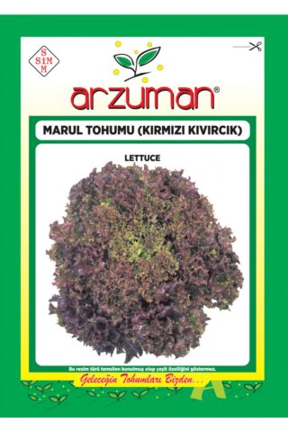 Karahasanoğlu Tarım Kırmızı Kıvırcık Marul Tohumu 5 Gr Ort 3750 Ad Tohum