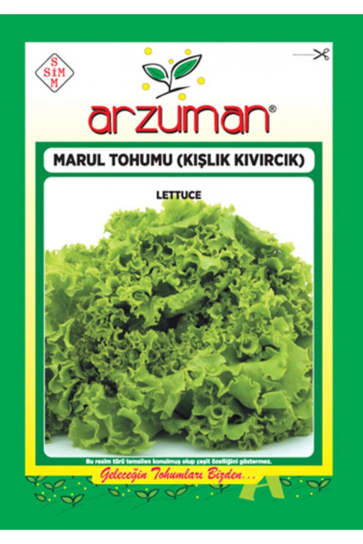 Karahasanoğlu Tarım Kışlık Kıvırcık Marul Tohumu 10 Gr Ort 7500 Ad Tohum