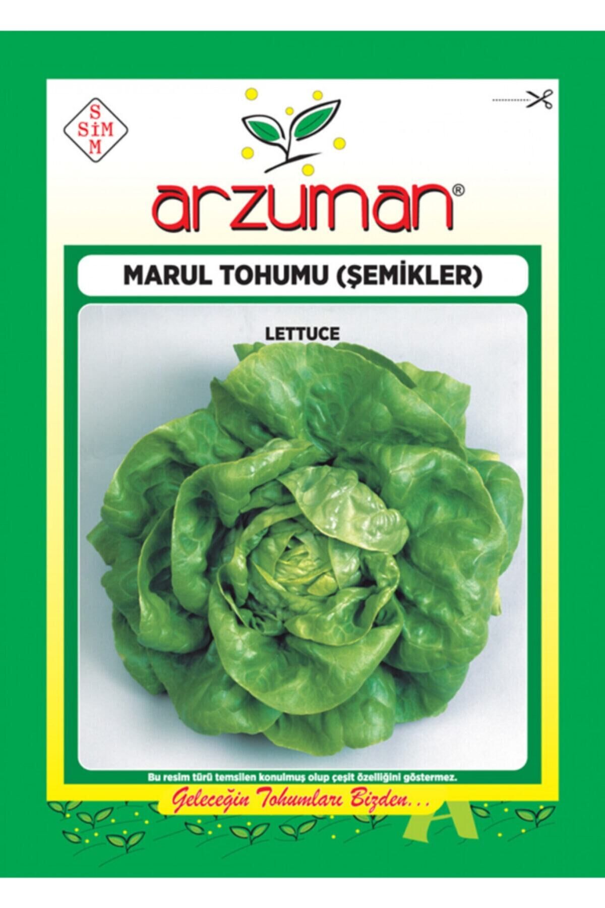 Karahasanoğlu Tarım Şemikler Marul Tohumu 10 Gr Ort 7500 Ad Tohum