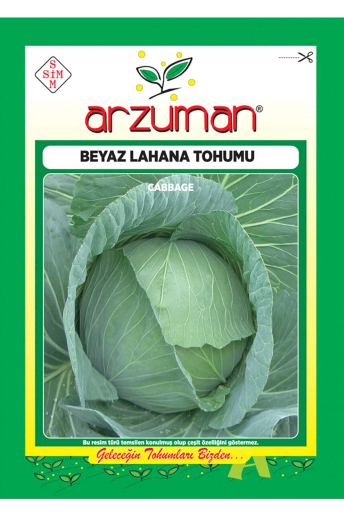 Karahasanoğlu Tarım Yalova-1 Beyaz Lahana Tohumu 10 Gr Ort 2000 Ad Tohum