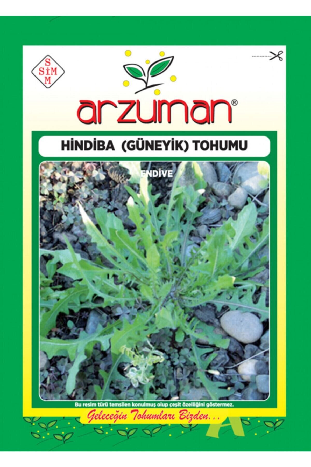 Karahasanoğlu Tarım Hindiba (güyenik) Acı Marul Tohumu 5 Gr