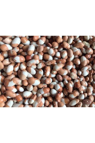 Karahasanoğlu Tarım YERLİ BONCUK AYŞE SIRIK FASULYE TOHUMU 500 GR