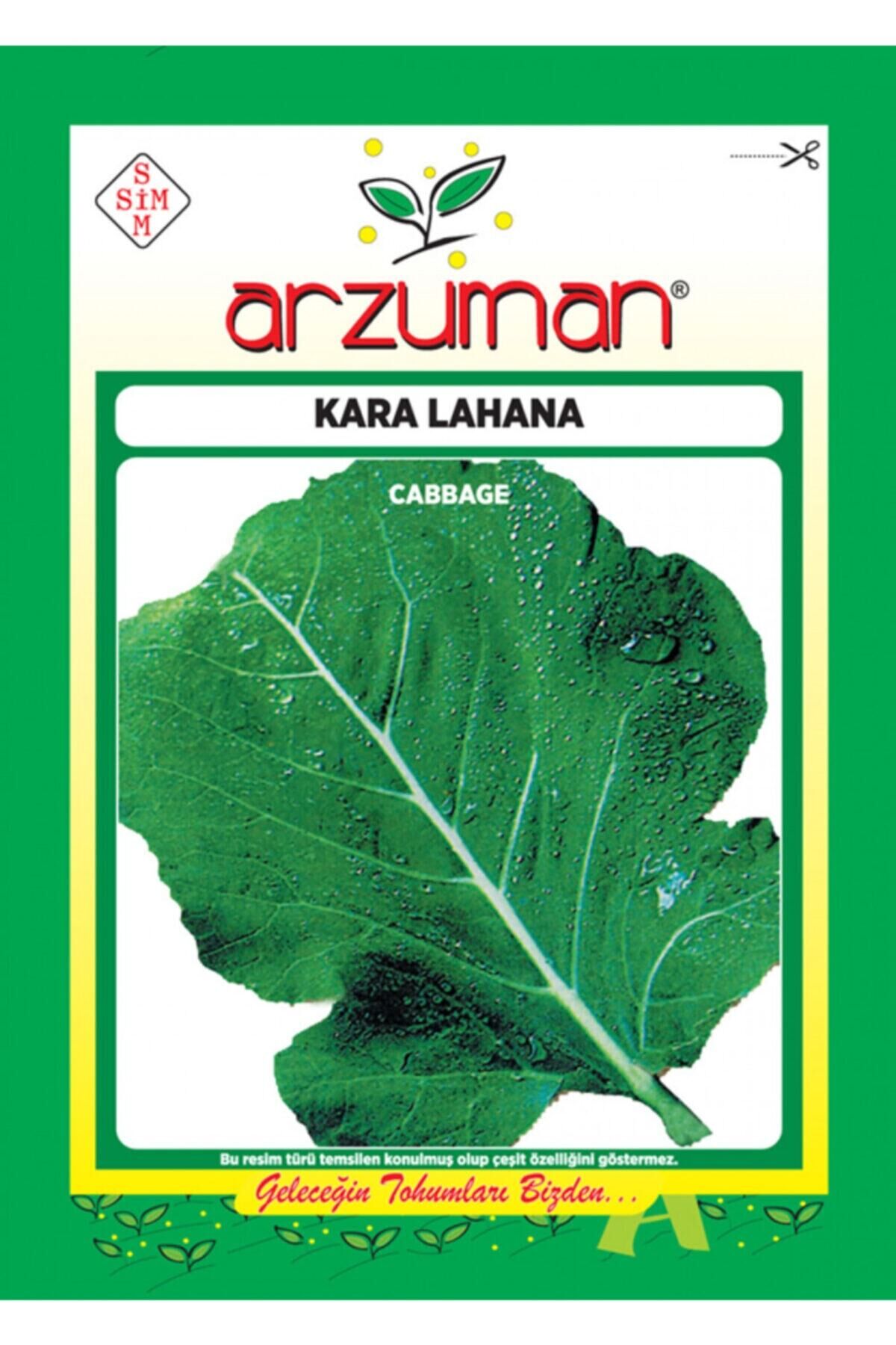 Karahasanoğlu Tarım Yaprak-karalahana Tohumu 10 Gr Ort 2000 Ad Tohum
