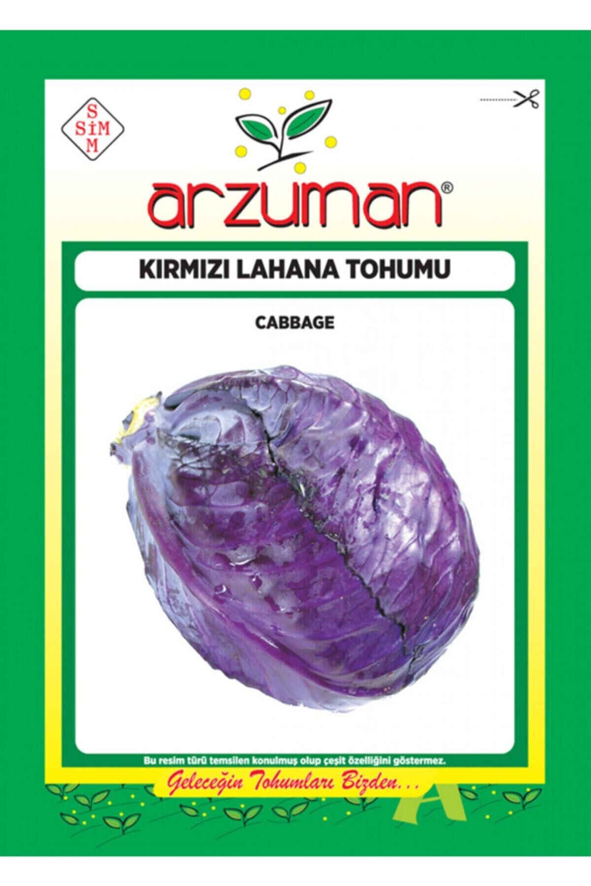 Karahasanoğlu Tarım Kırmızı-mor Lahana Tohumu 10 Gr Ort 2000 Ad Tohum