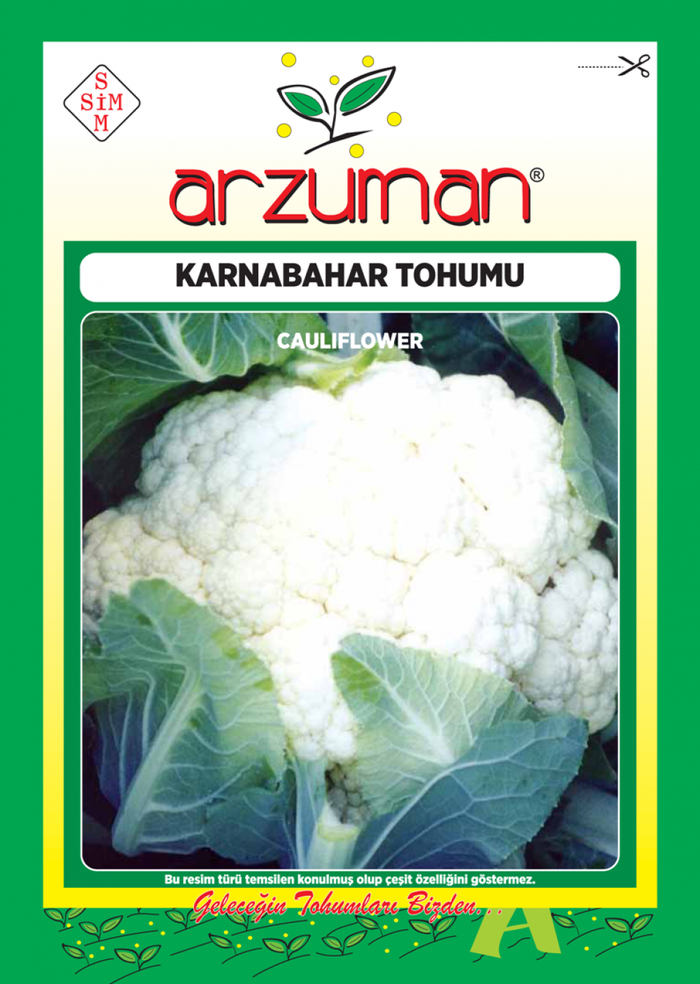 KARNABAHAR TOHUMU 300 AD TOHUM