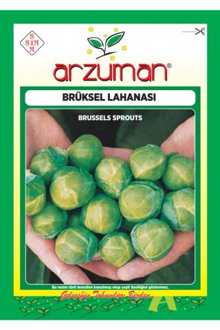 Karahasanoğlu Tarım Brüksel Lahana Tohumu 200 Ad Tohum