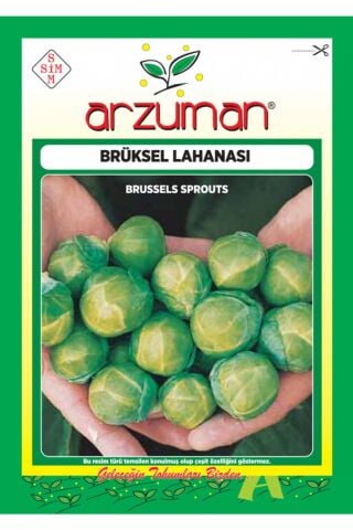 Karahasanoğlu Tarım Brüksel Lahana Tohumu 200 Ad Tohum