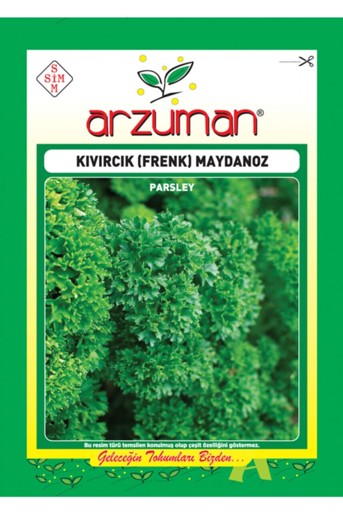 Karahasanoğlu Tarım Kıvırcık Maydanoz Tohumu 10 Gr Ort 5000 Ad Tohum
