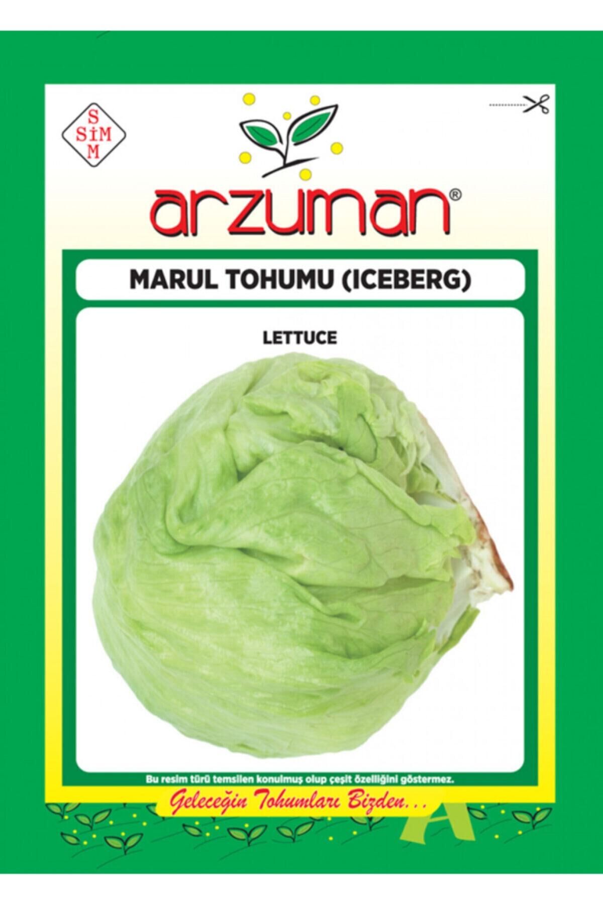 Karahasanoğlu Tarım Iceberg Marul Tohumu 5 Gr Ort 3750 Ad Tohum