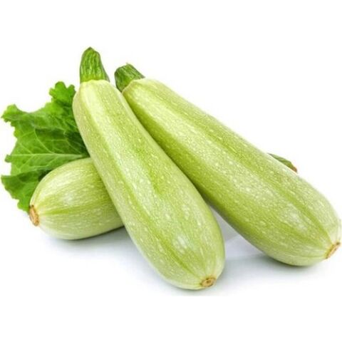 Yerli Beyaz Sakız Kabak Tohumu (Kolsuz) 10 Gr (Ort 75 Ad Tohum)