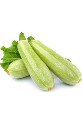 Karahasanoğlu Tarım Yerli Beyaz Sakız (DOLMA) Kabak Tohumu (KOLSUZ) 10 gr (ORT 75 AD TOHUM)
