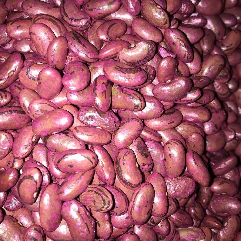 PEROLAR UZUN-ENLİ ERKENCİ SIRIK FASULYE TOHUMU 500 GR (İLAÇLI)