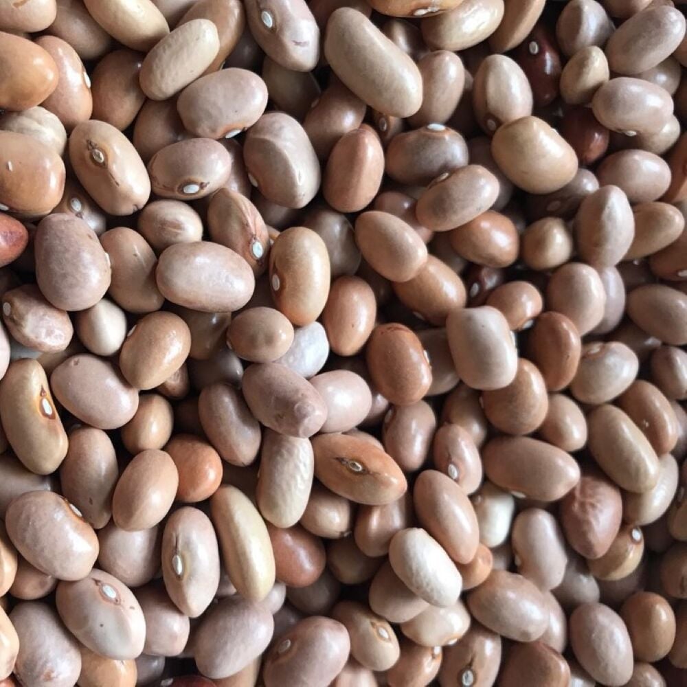YERLİ SARI ŞEKER SIRIK FASULYE TOHUMU 100 GR