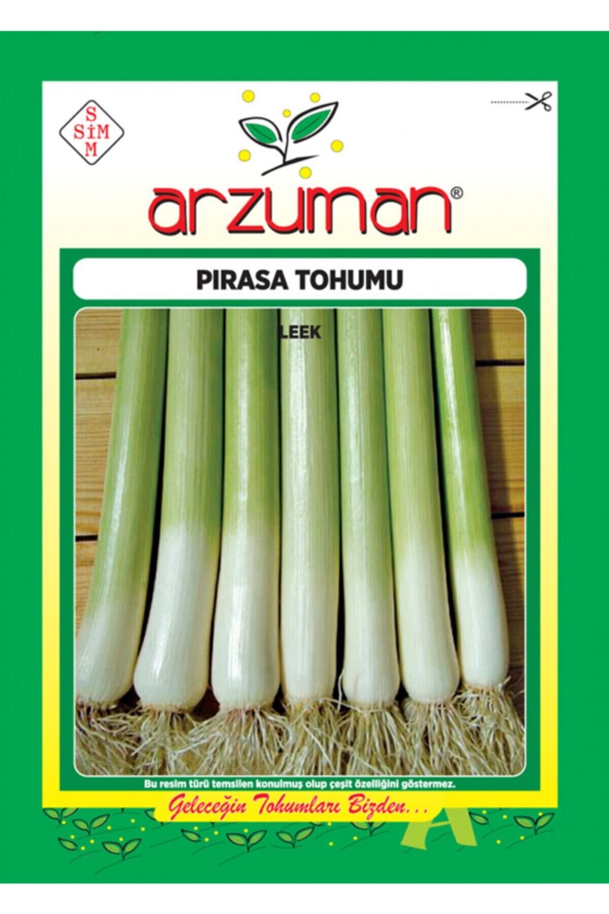 Karahasanoğlu Tarım Inegöl Pırasa Tohum 10 Gr Ort 3000 Ad Tohum