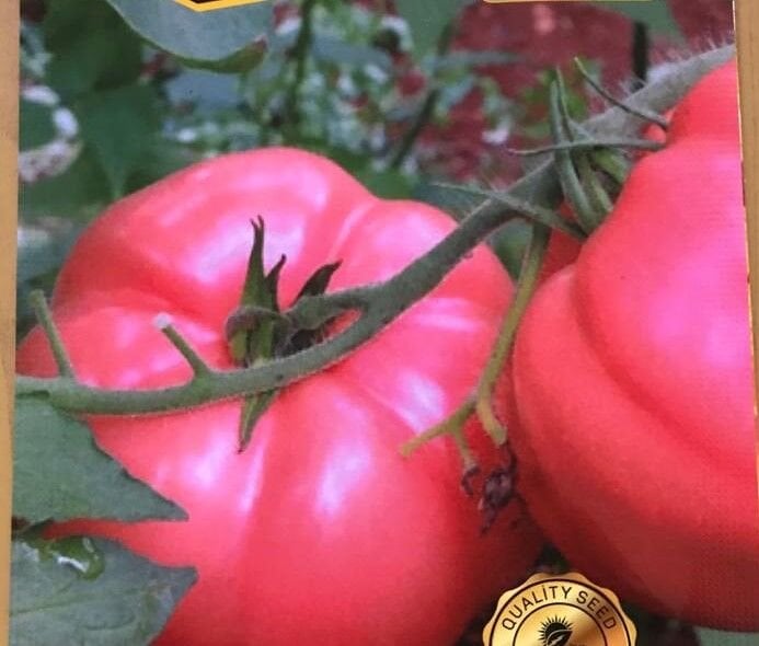 Yerli Pembe Domates Tohumu (1 Gr Ort 250 Ad Tohum)