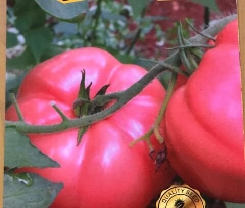 Yerli Pembe Domates Tohumu (1 Gr Ort 250 Ad Tohum)