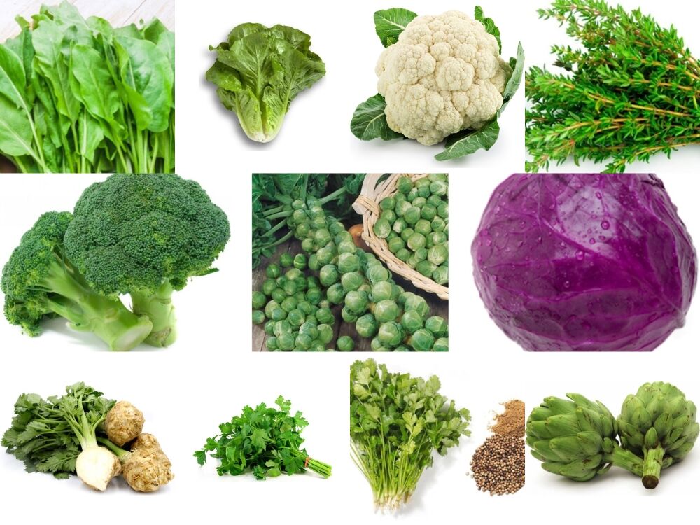 Yerli 11 Çeşit Sebze Tohumu Seti Ort 2027 Ad Tohum+Gübre - Mix 2