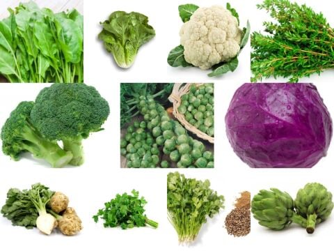 Yerli 11 Çeşit Sebze Tohumu Seti Ort 2027 Ad Tohum+Gübre - Mix 2