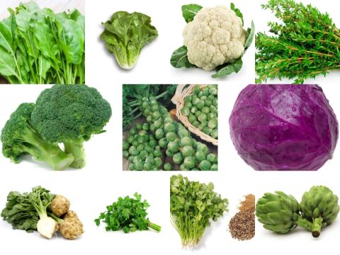 Yerli 11 Çeşit Sebze Tohumu Seti Ort 2027 Ad Tohum+Gübre - Mix 2