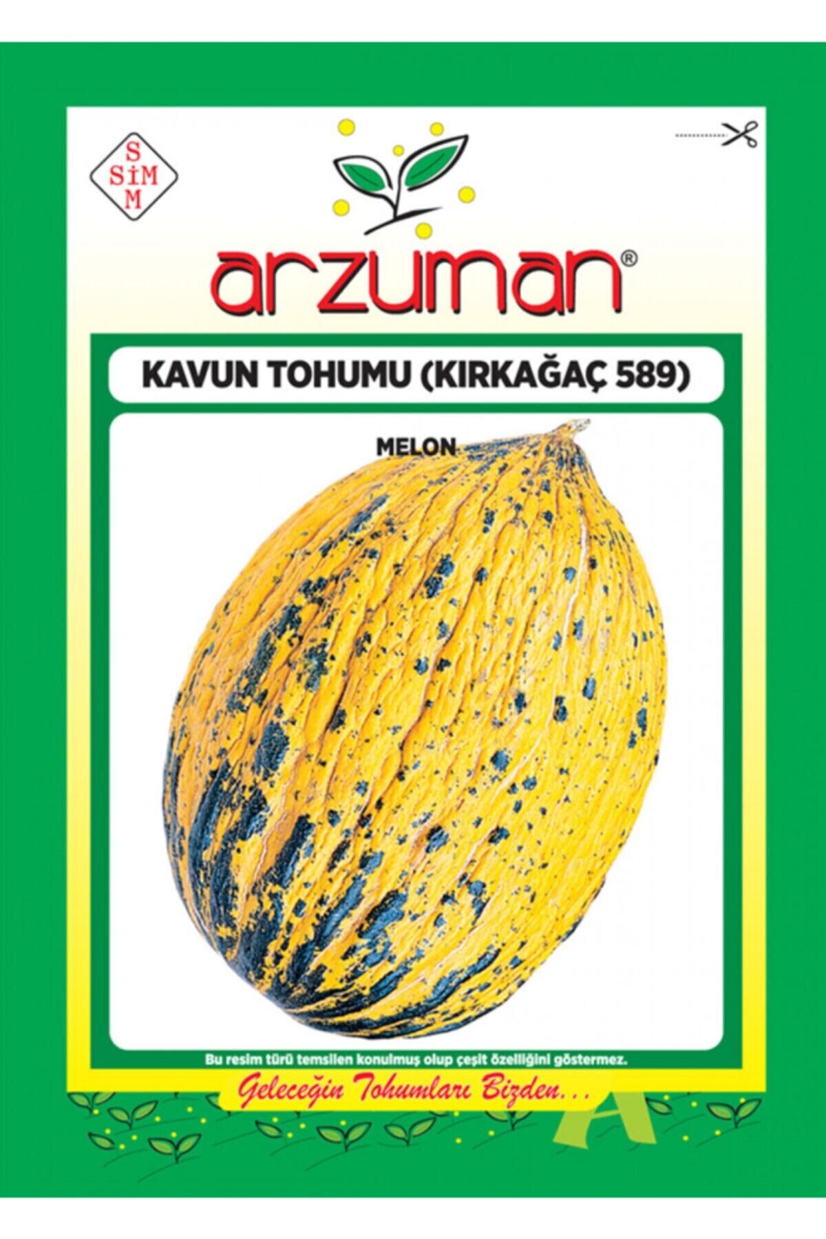 Karahasanoğlu Tarım Kırkağaç 589 Kavun Tohumu 10 gr Ort 200 Ad Tohum