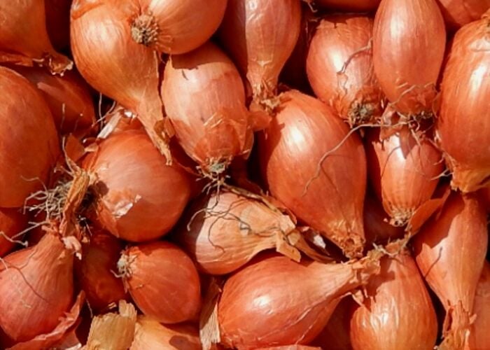YERLİ ARPACIK SOĞAN 5 NUMARA (1 KG)