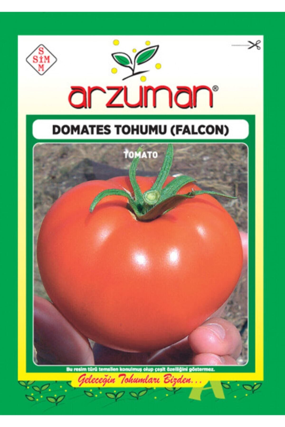 Karahasanoğlu Tarım Falcon Domates Tohumu 5 Gr Ort 2000 Ad Tohum