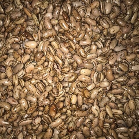 YERLİ PEROLAR UZUN-ENLİ ERKENCİ SIRIK FASULYE TOHUMU 100 GR