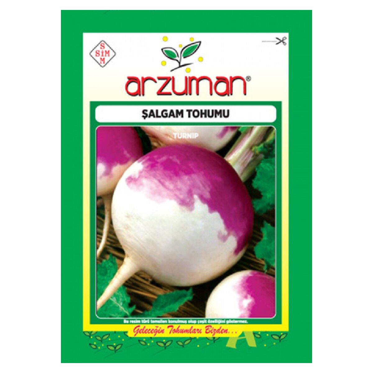 Şalgam Tohumu
