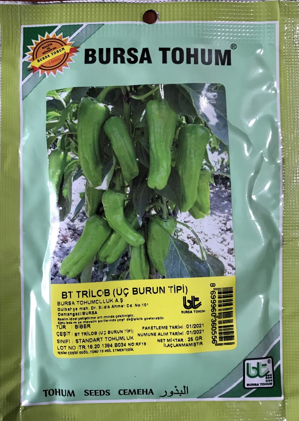 BİBER TOHUMU TRİLOB ÜÇ BURUN 25 GR ORT3000 ADET TOHUM)