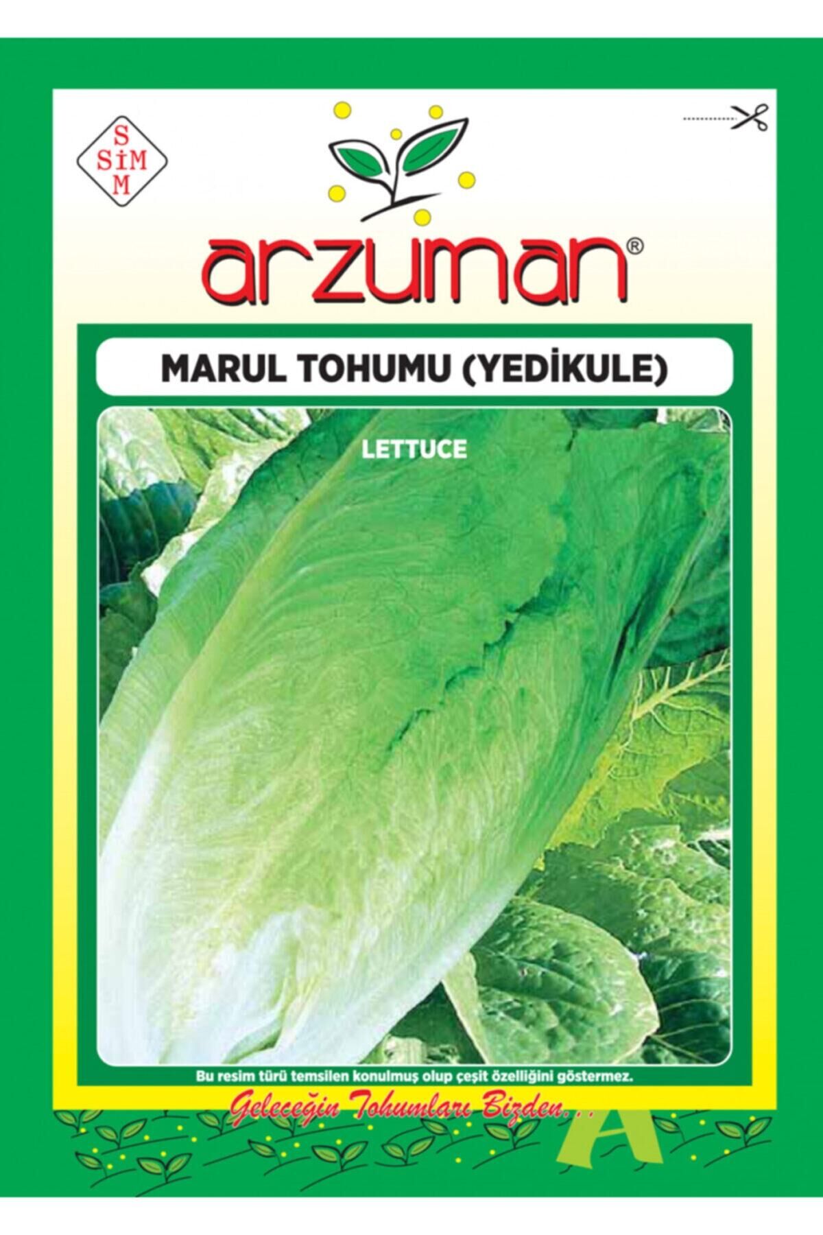 Karahasanoğlu Tarım Yedikule Marul Tohumu 10 Gr Ort 7500 Ad Tohum