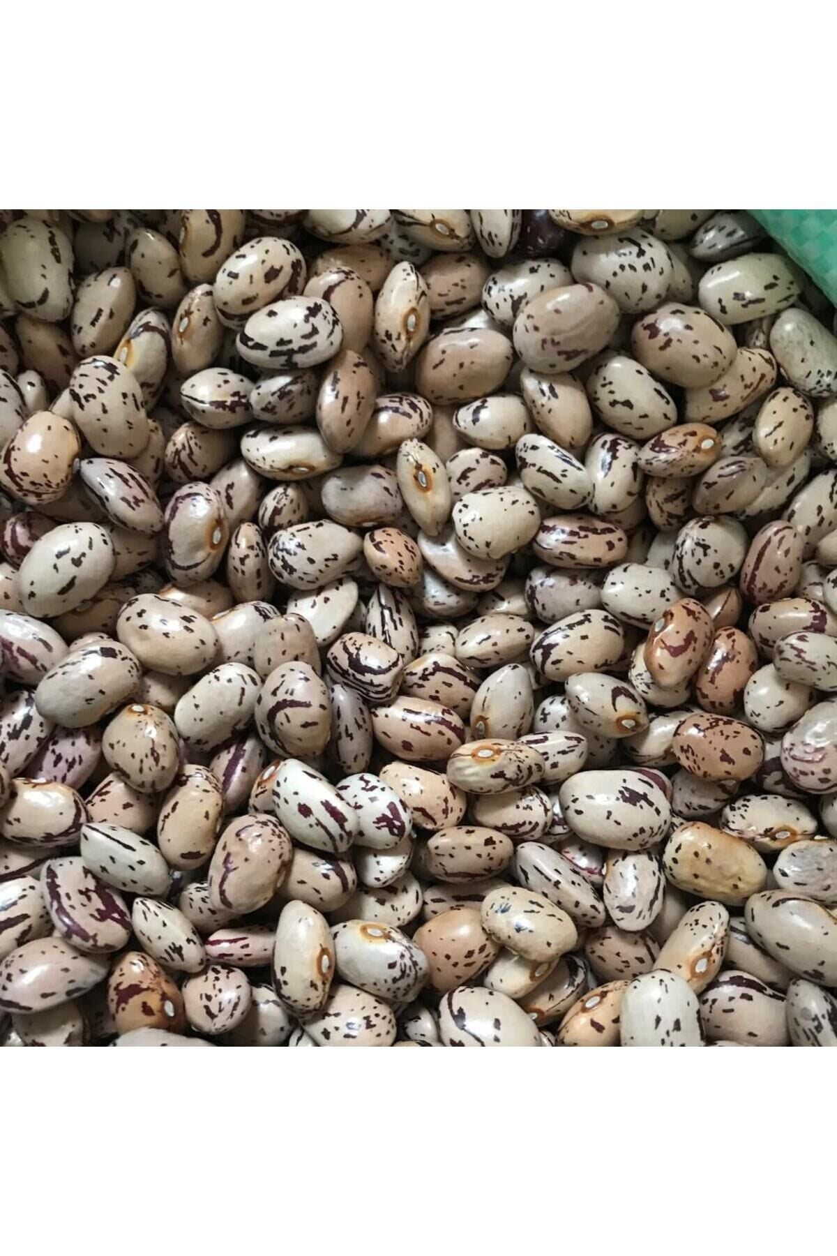 Karahasanoğlu Tarım Yerli İri Tane Barbunya Tohumu 500 Gr