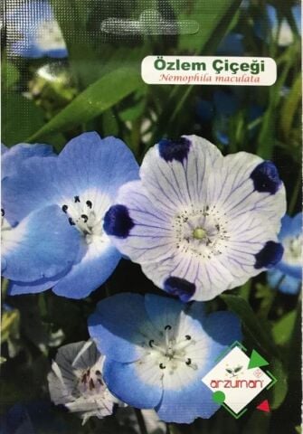 ÖZLEM ÇİÇEĞİ TOHUMU 50 ADET TOHUM