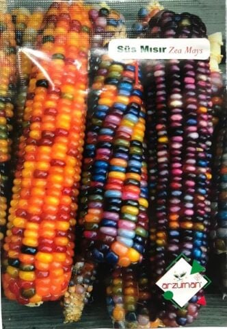 KARIŞIK SÜS MISIR TOHUMU 10 ADET TOHUM