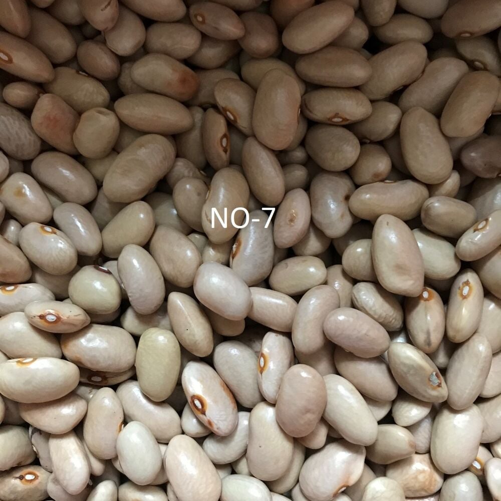 YERLİ AYŞE KADIN SIRIK FASULYE TOHUMU 100 GR (KREM)