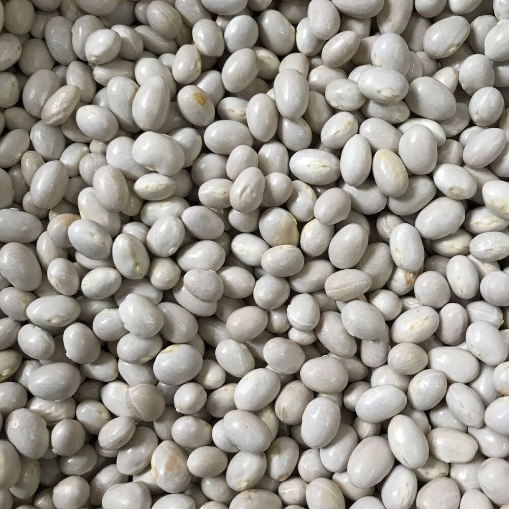 YERLİ SIRIK ŞEKER FASULYE TOHUMU 100 GR