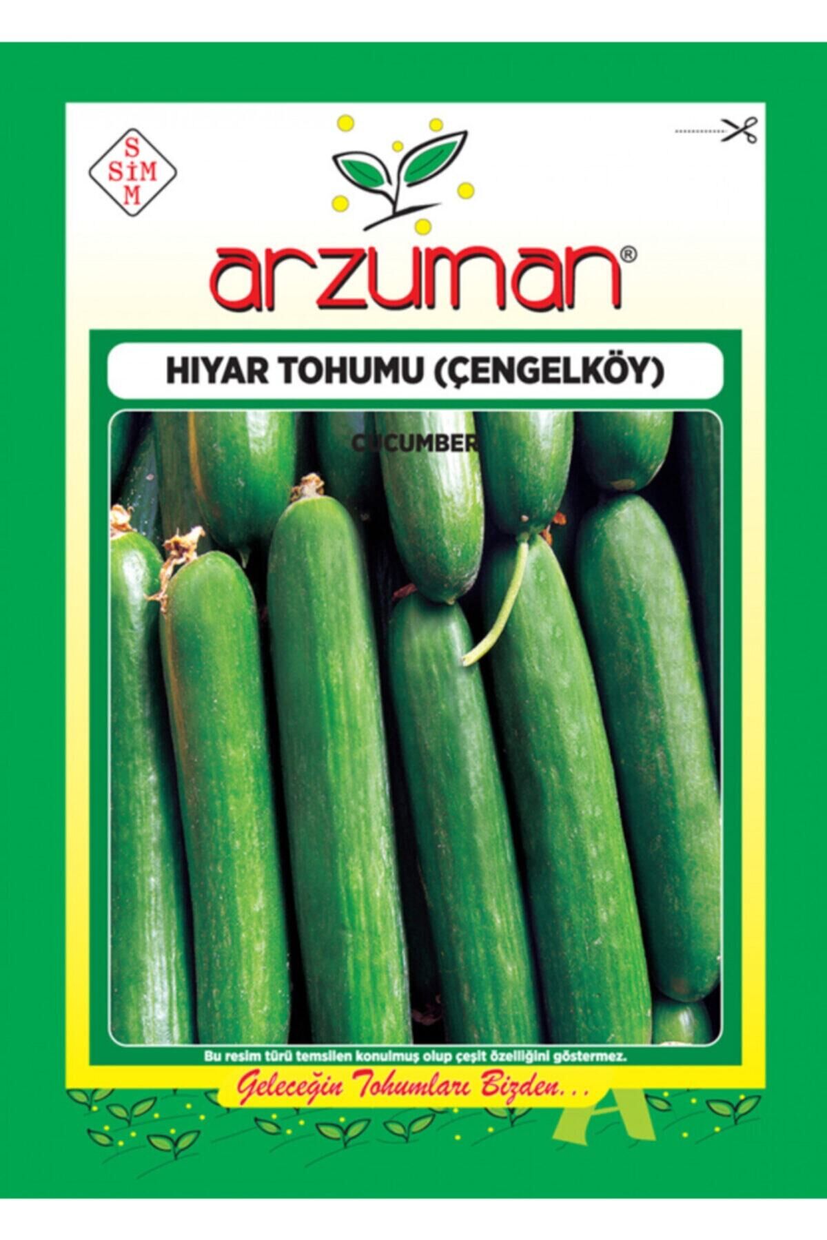 Karahasanoğlu Tarım Çengelköy Salatalık Tohumu 10 Gr Ort 300 Ad Tohum
