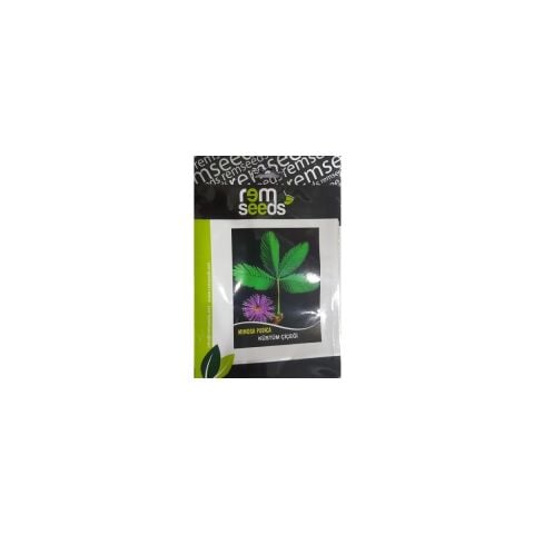 Seeds Küstüm Çiçeği Tohumu 30'lu