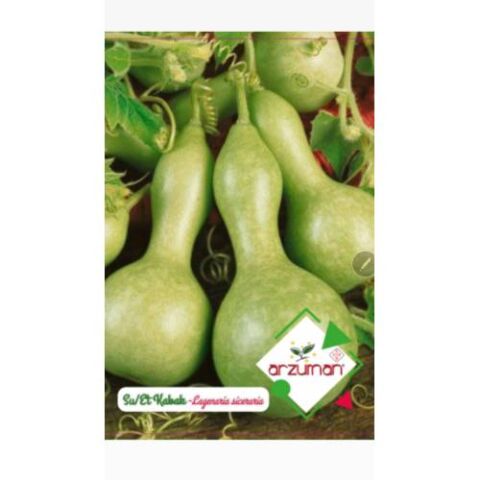 SU-ET KABAĞI TOHUMU 5 AD TOHUM
