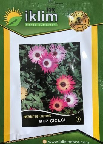 BUZ ÇİÇEĞİ TOHUMU-1