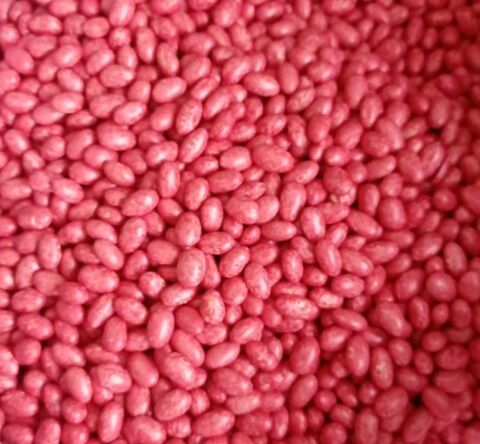 KARDELEN OTURAK ŞEKER FASULYESİ (İLAÇLI) 50 GR (ORT 125 ADET TOHUM)