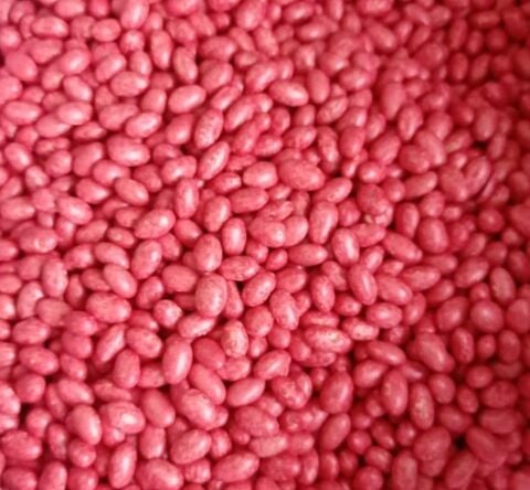 KARDELEN OTURAK ŞEKER FASULYESİ (İLAÇLI) 500 GR