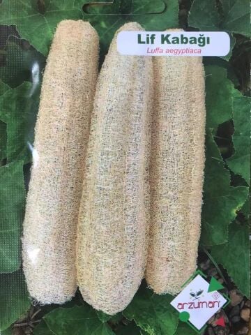 LİF KABAĞI TOHUMU 10 ADET TOHUM