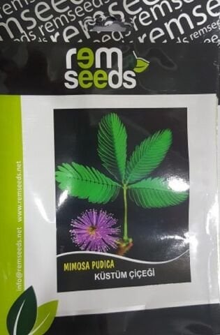 KÜSTÜM ÇİÇEĞİ TOHUMU TAKRİBİ 30 ADET TOHUM