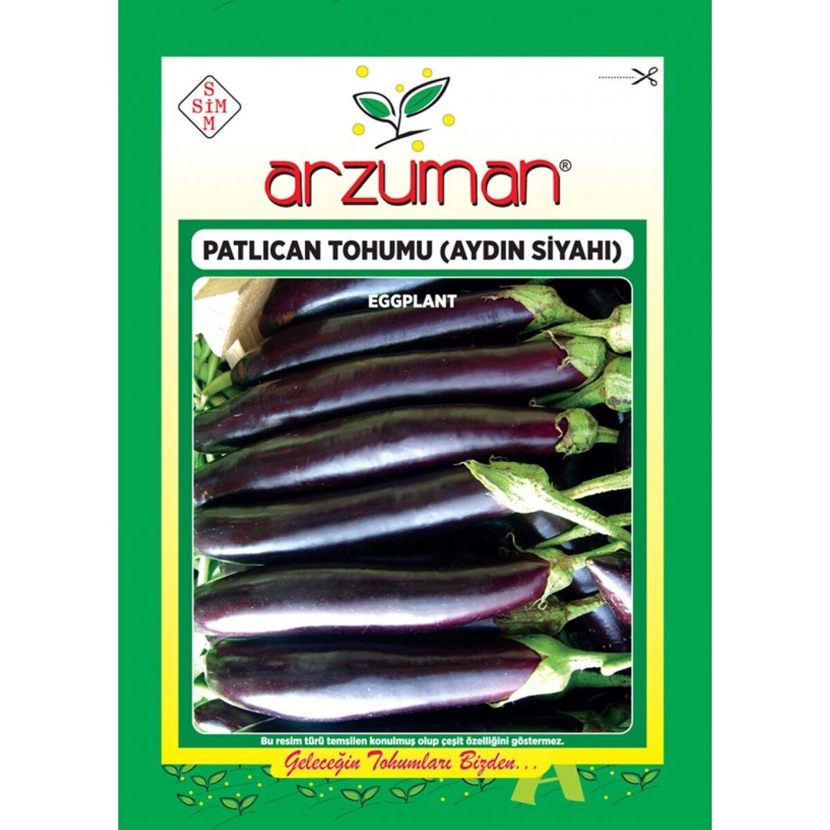 Patlıcan Tohumu (10 Gr) Aydın Siyahı